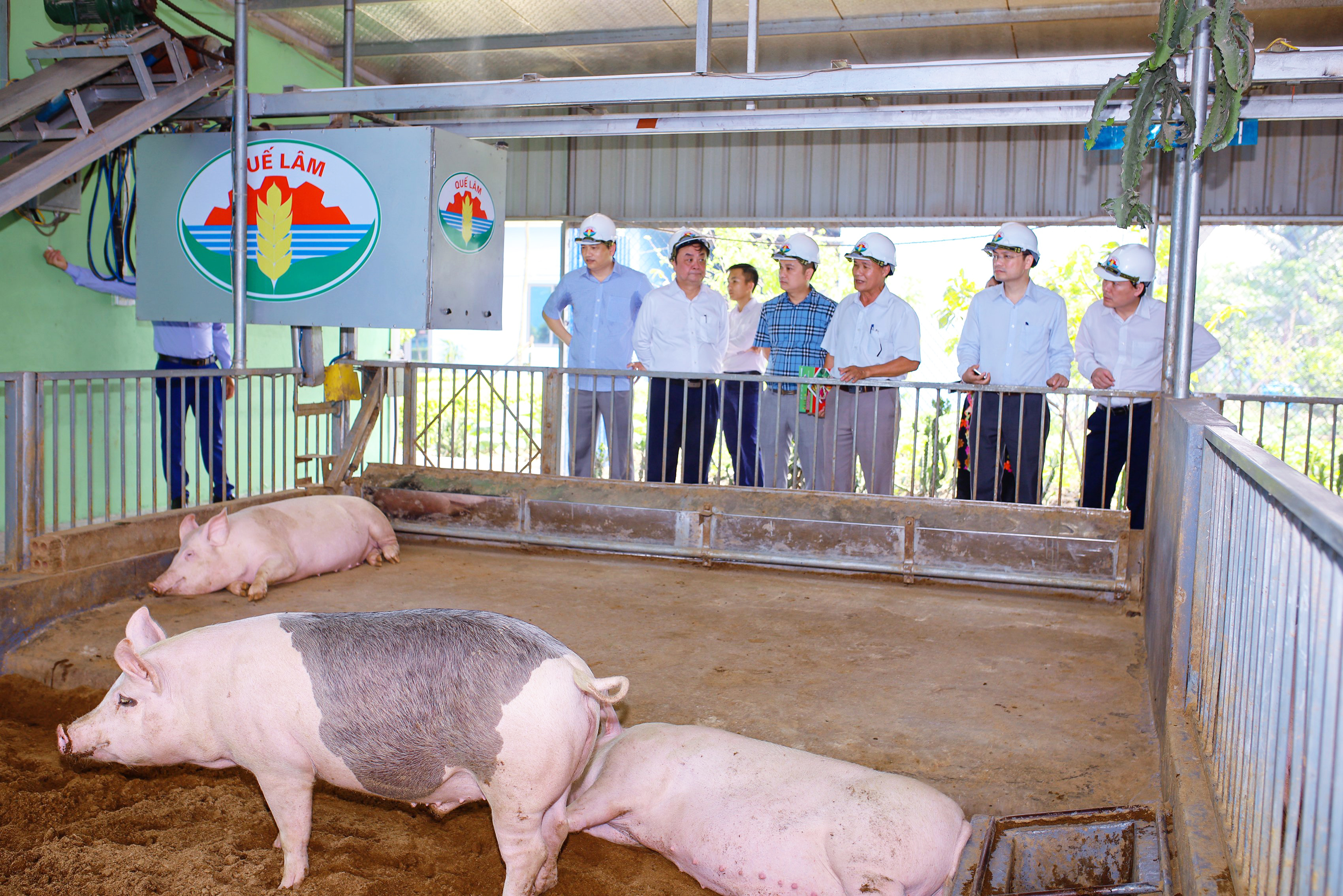 Thúc đẩy phát triển nền nông nghiệp xanh - sạch - an toàn - bền vững