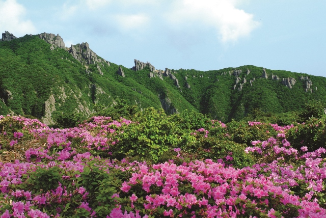 “Từ nét vẽ, đến Jeju”