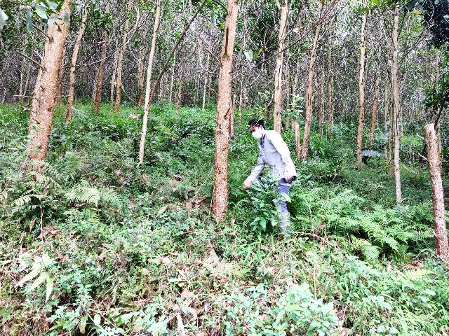 Tín dụng chính sách với xóa đói giảm nghèo bền vững ở Bắc Kạn