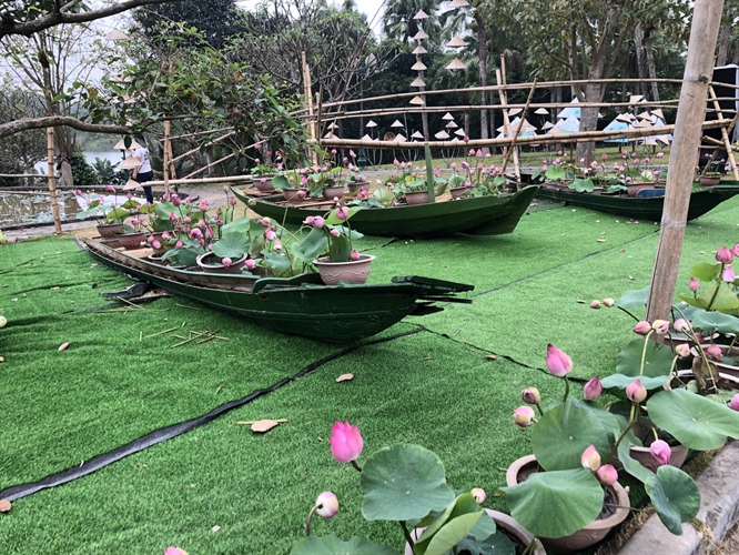“Sen trong đời sống văn hóa Việt”