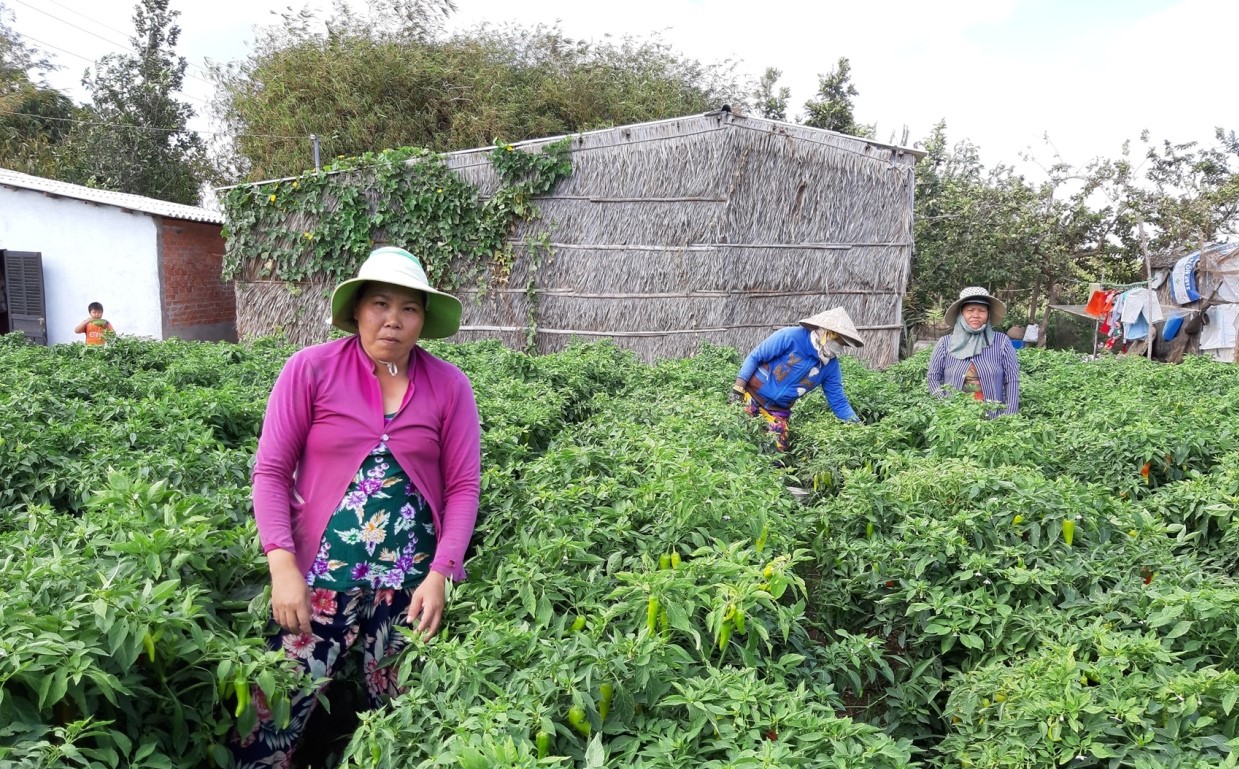 Trà Vinh đầu tư phát triển vùng đồng bào dân tộc thiểu số