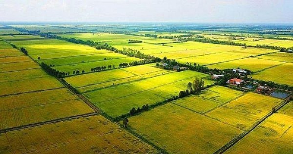 Chuyển mục đích sử dụng đất tại Bạc Liêu, Ninh Bình và Hậu Giang