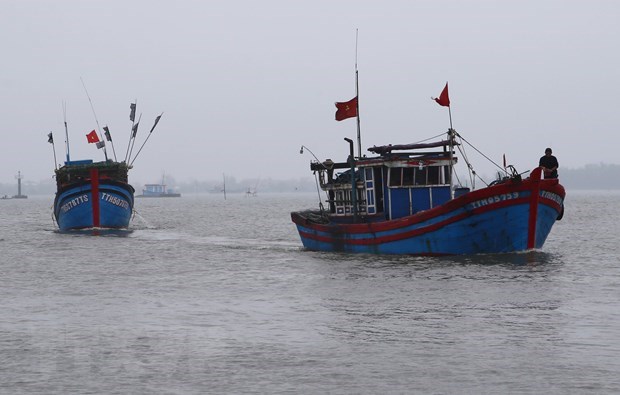 Các tỉnh, thành phố từ Quảng Ninh đến Quảng Bình chủ động ứng phó với gió mạnh