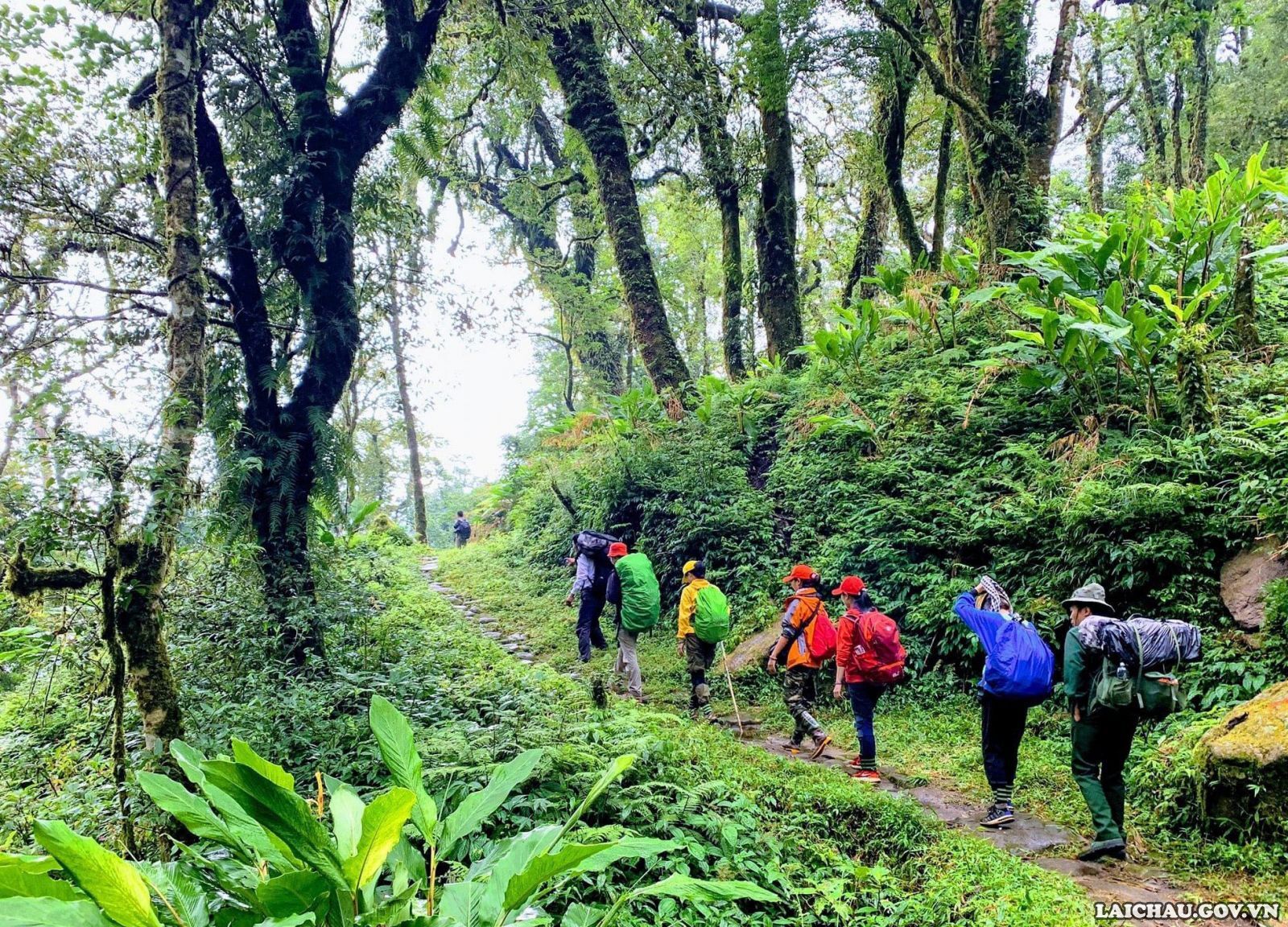 Giải chạy Marathon con đường đá cổ Pavi