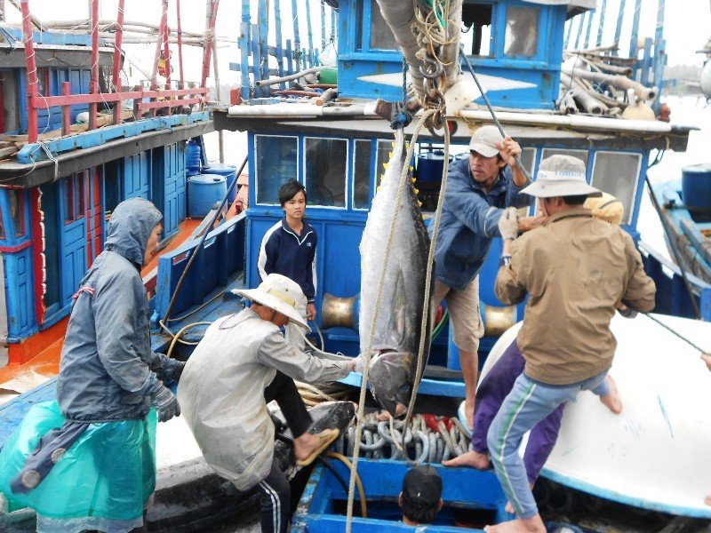 Xây dựng Hoài Nhơn thành khu vực trọng điểm phát triển kinh tế-xã hội phía Bắc tỉnh Bình Định