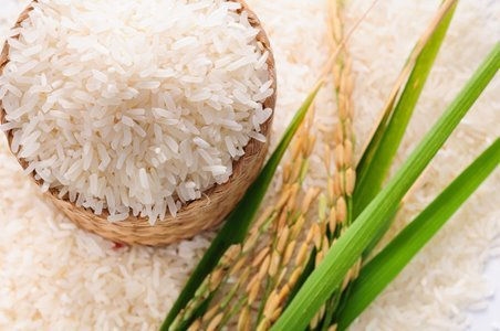 Gạo Việt Nam nhiều cơ hội vào thị trường Bắc Âu