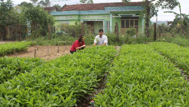 Đa dạng sinh học cho các HTX Lâm nghiệp sẽ chống biến đổi khí hậu, giảm nghèo cho thành viên hợp tác xã