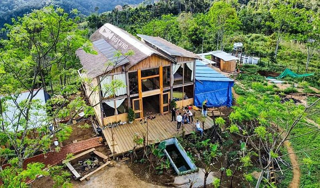 Bình Định Yêu cầu kiểm tra thông tin trang trại thu giá dịch vụ cao