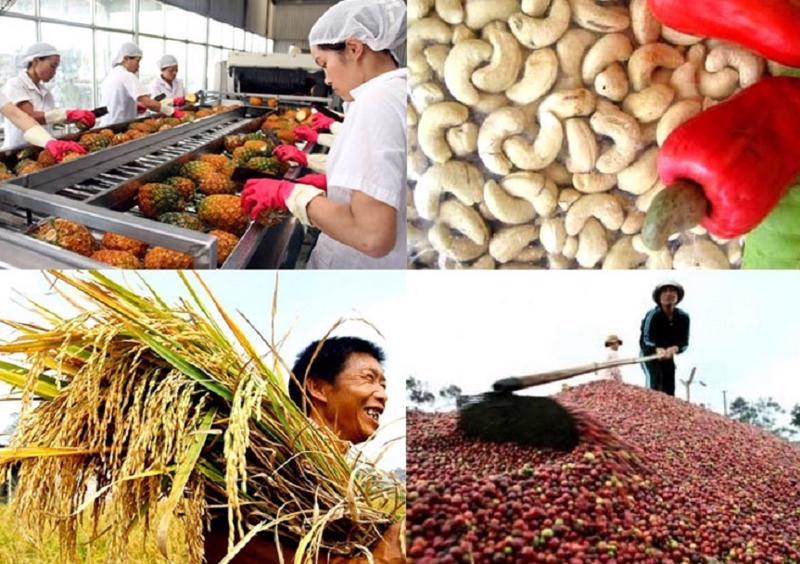 Xuất khẩu nông, lâm, thủy sản tăng 15,6 trong 4 tháng đầu năm