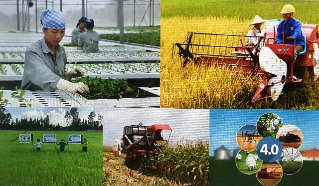 Trang bị cho nông dân kỹ năng sản xuất và tư duy kinh tế