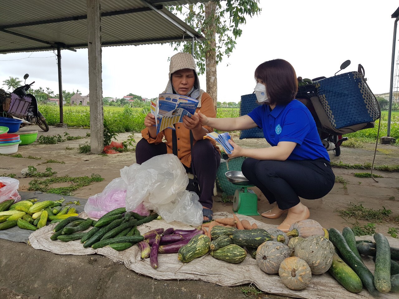 BHXH Hải Phòng Nâng cao công tác phục vụ, hỗ trợ người tham gia BHXH