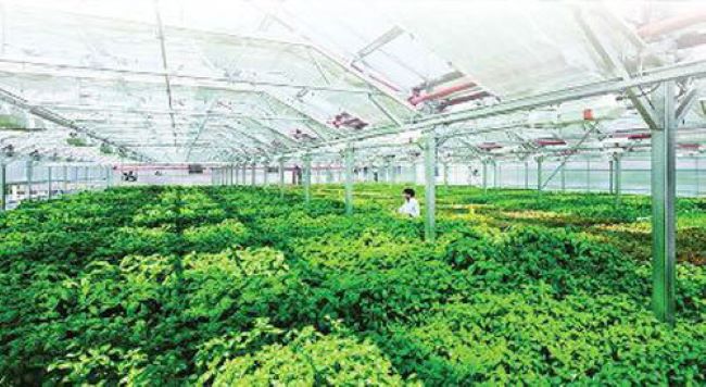 Thúc đẩy nền nông nghiệp xanh tại Việt Nam
