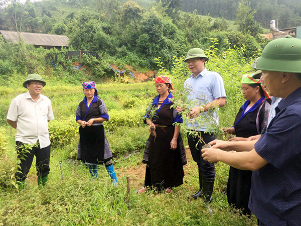Mù Cang Chải “Ngày cuối tuần cùng dân”