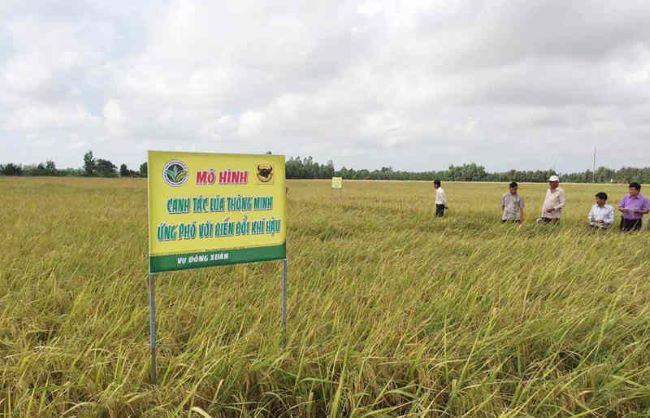 Hội Nông dân Chủ động thích ứng với biến đối khí hậu