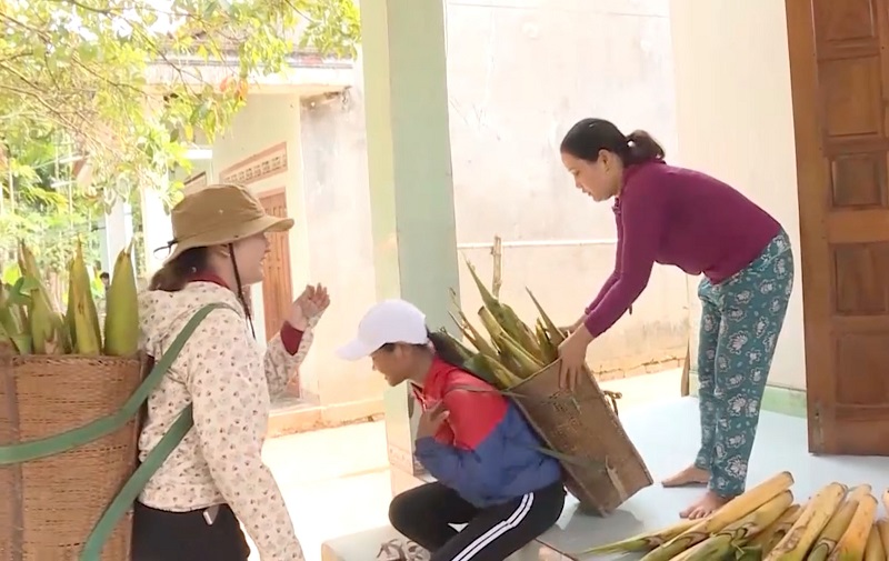 Đổi thay ở vùng đồng bào dân tộc thiểu số Sơn Hà