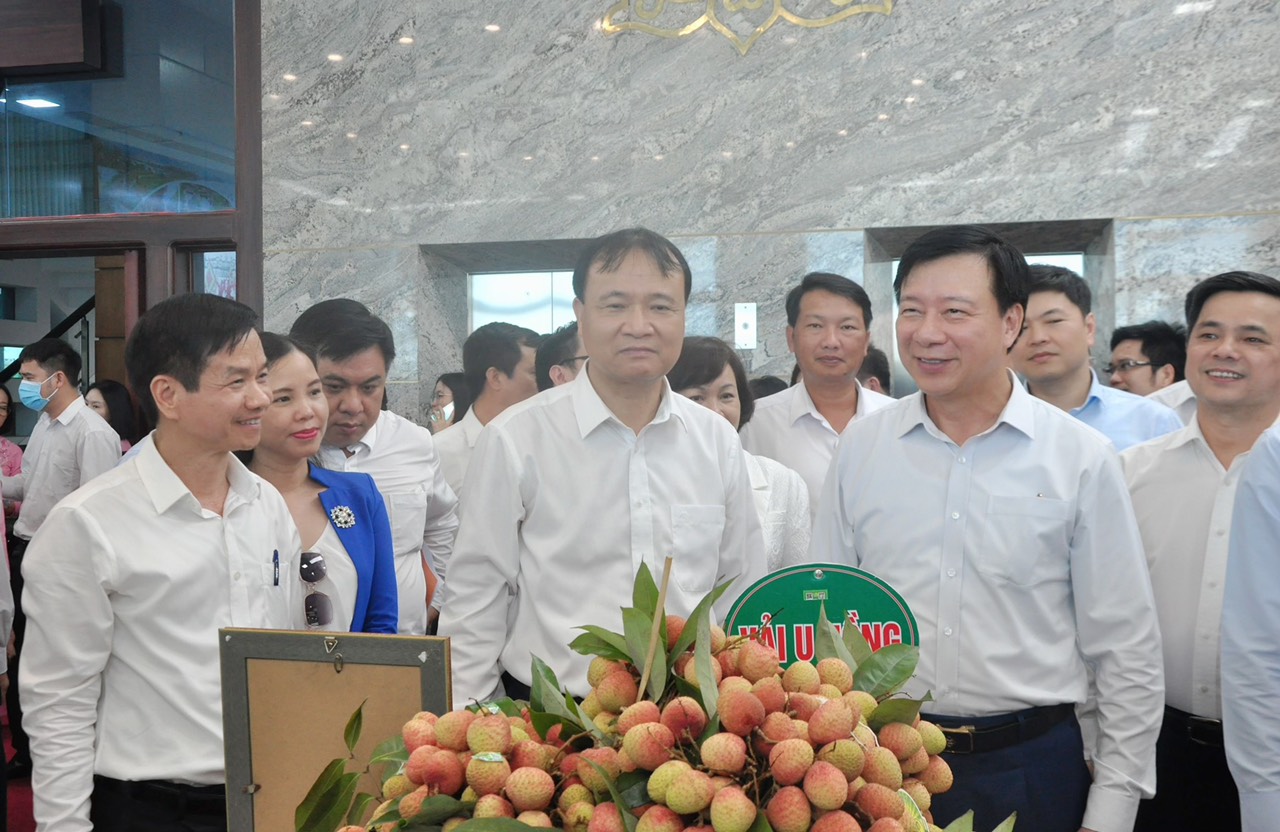 Xúc tiến thương mại vải thiều Thanh Hà