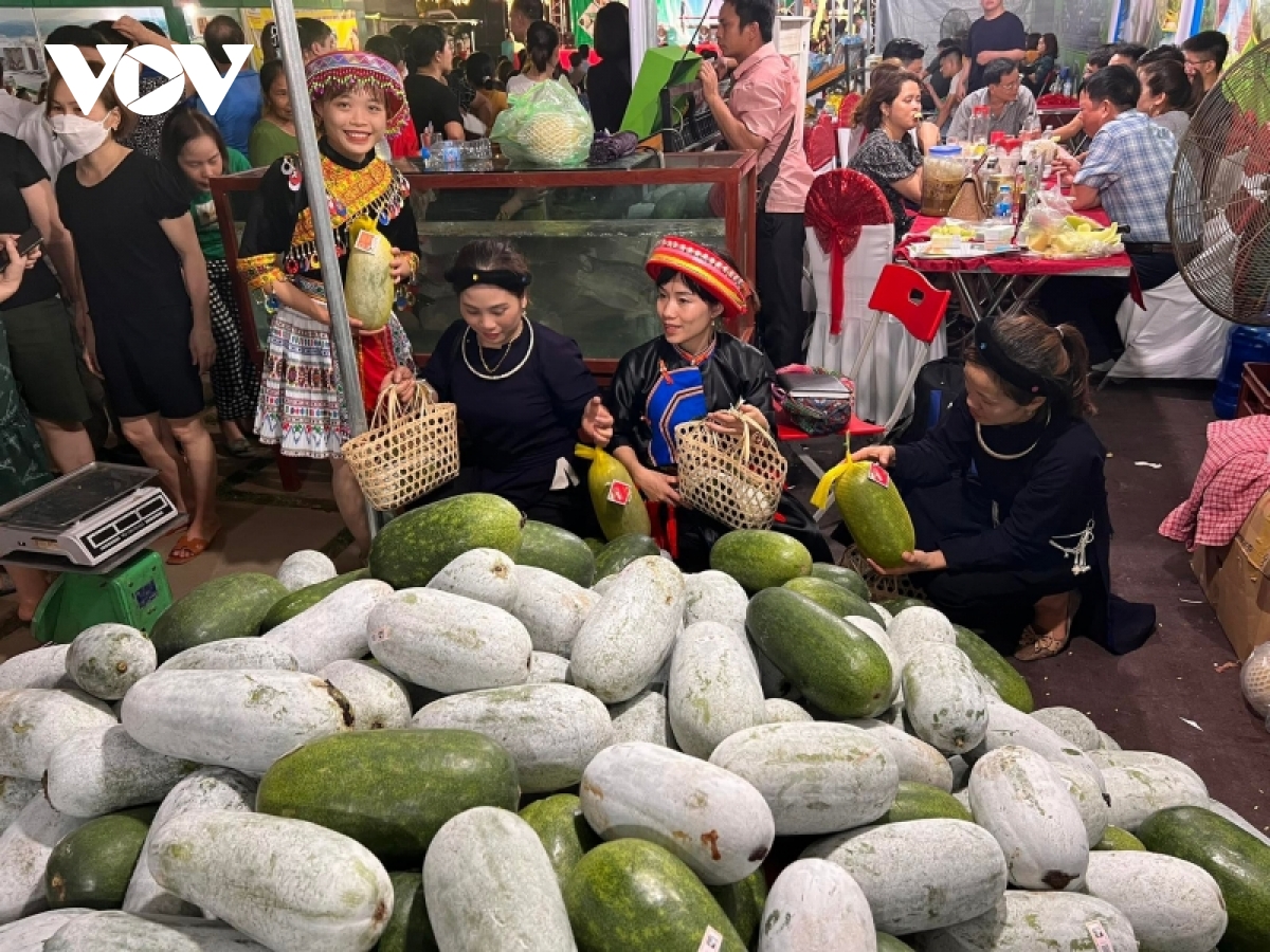 Bắc Kạn xúc tiến tiêu thụ bí xanh thơm và sản phẩm OCOP