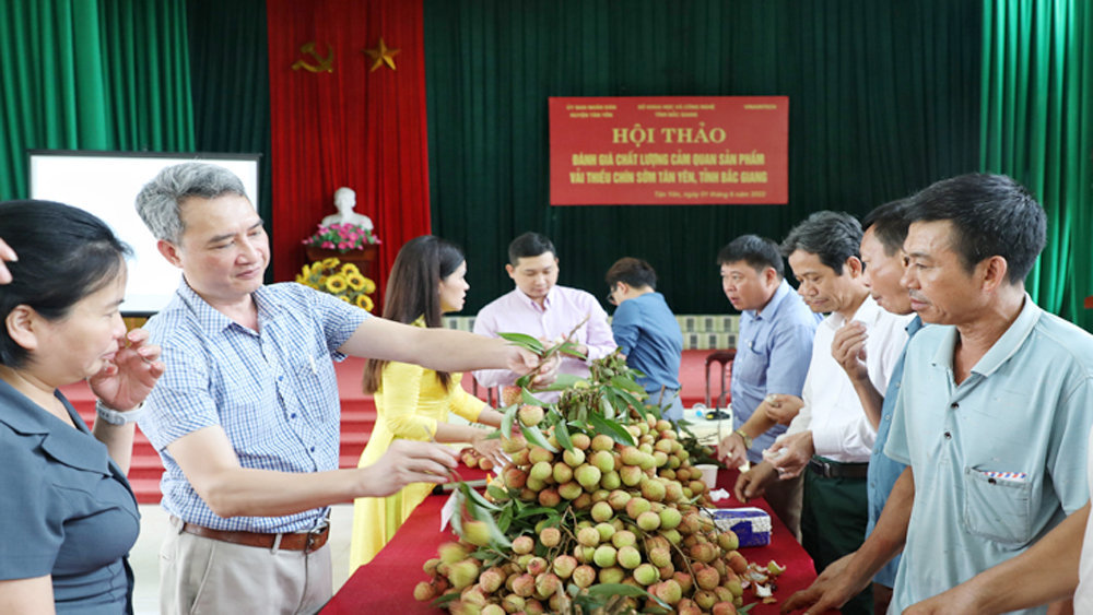 Đánh giá chất lượng cảm quan đối với sản phẩm vải thiều chín sớm Tân Yên