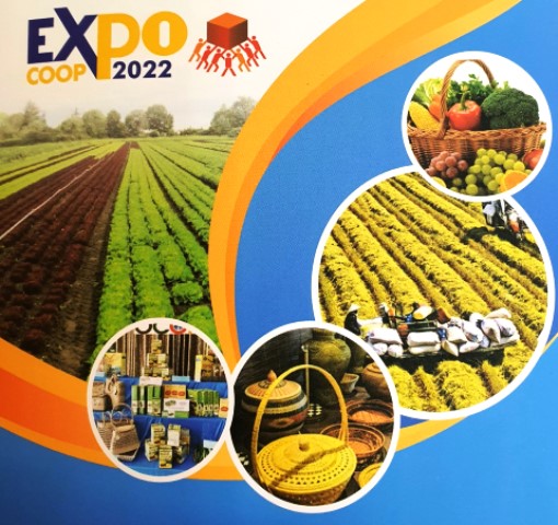Xúc tiến thương mại và đầu tư cho các hợp tác xã
