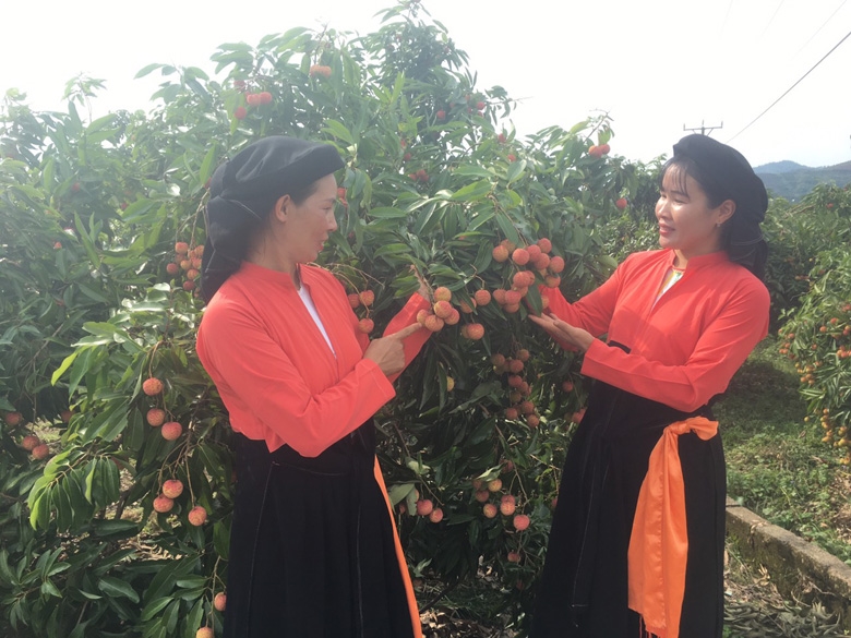 Lục Ngạn Để mùa vải thiều thêm ngọt