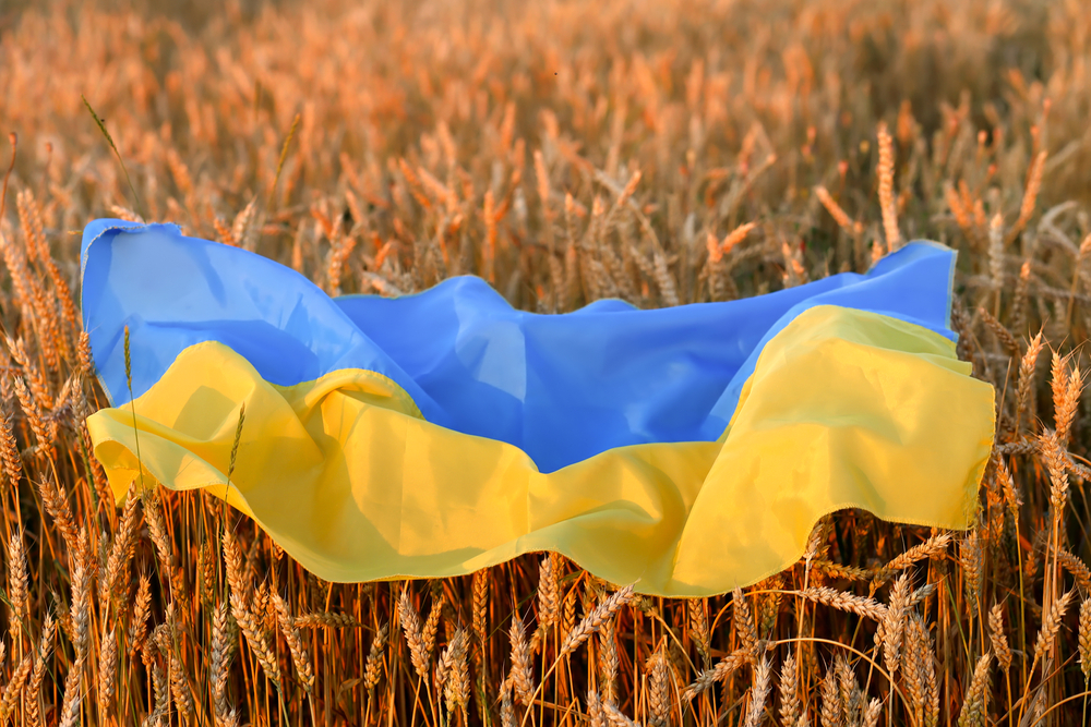 Ukraine mất 1 4 diện tích đất canh tác vì xung đột