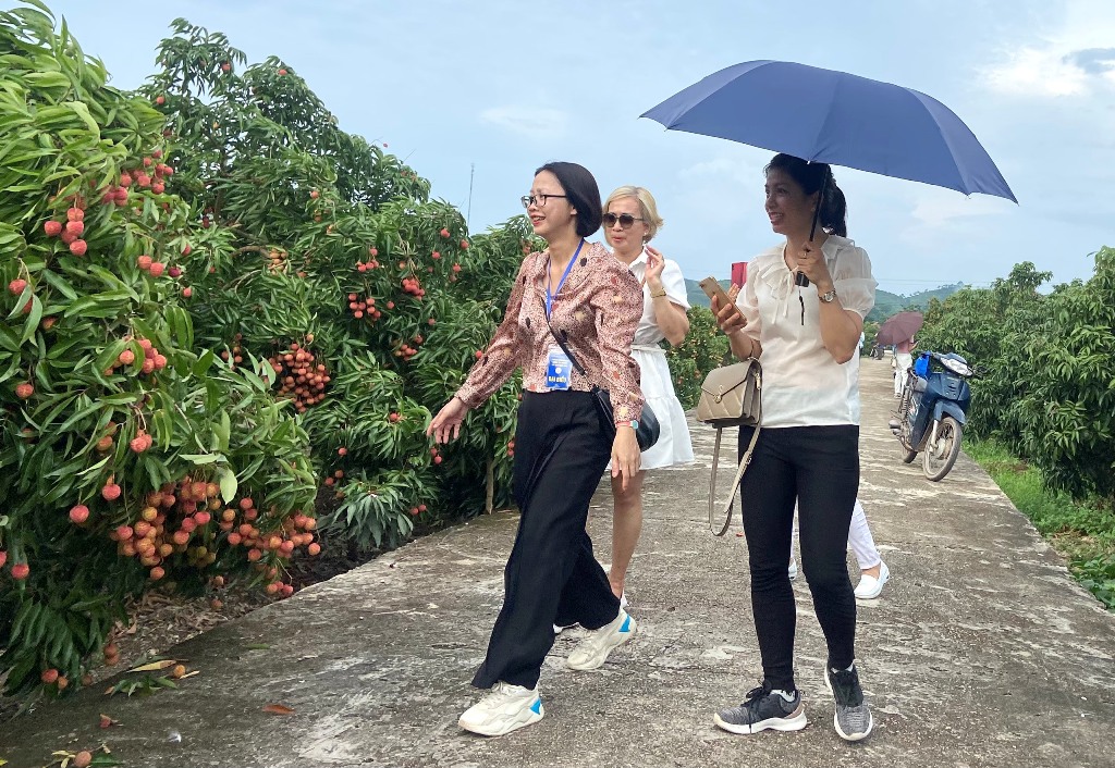 Lục Ngạn Cần tạo đột phá để phát triển du lịch sinh thái cộng đồng