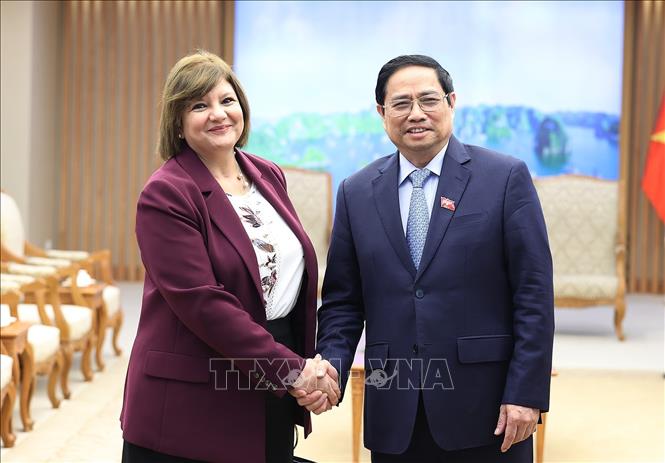 Thủ tướng Phạm Minh Chính tiếp Đại sứ Ai Cập và Đại sứ Mông Cổ tại Việt Nam