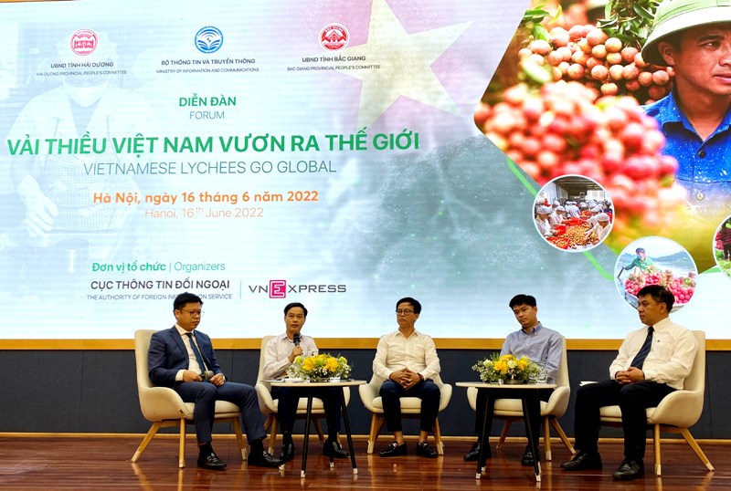 Đưa vải thiều Việt Nam vươn ra thế giới