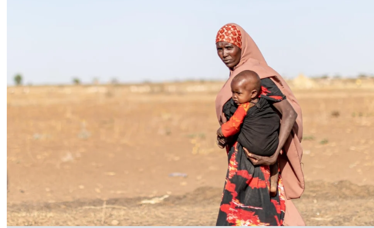 UNHCR Số người di cư trên toàn cầu đang cán mốc kỷ lục