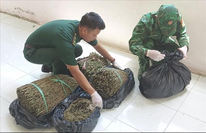 Phát hiện vụ vận chuyển hơn 18 kg cần sa qua biên giới