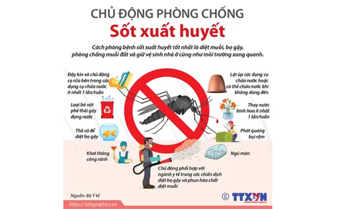 TP Hồ Chí Minh Tăng cường biện pháp phòng, chống dịch sốt xuất huyết