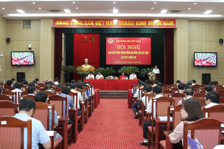 Nhiều hoạt động tư vấn, hỗ trợ, đào tạo nghề và giới thiệu việc làm cho hội viên nông dân
