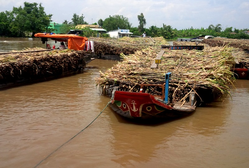 Ngân hàng Thế giới ủng hộ Quy hoạch vùng Đồng bằng sông Cửu Long