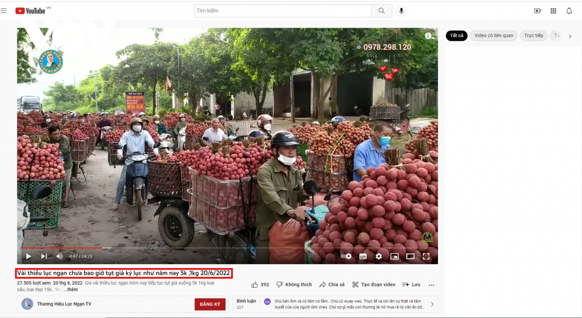 Thông tin liên quan “vải thiều Bắc Giang giá 5 nghìn đồng kg”