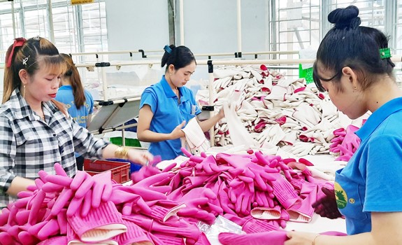 Đồng Nai thu hút 33 tỷ USD vốn đầu tư nước ngoài