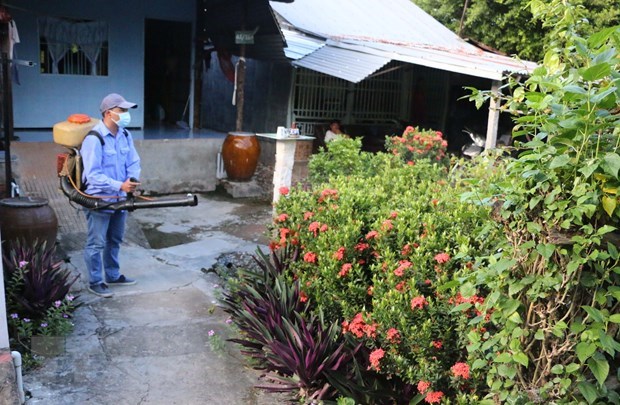 Tập trung phòng, chống sốt xuất huyết