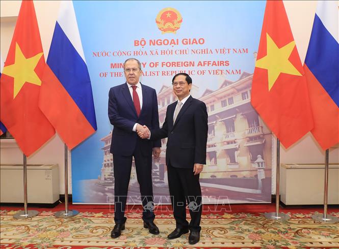 Bộ trưởng Bộ Ngoại giao Bùi Thanh Sơn hội đàm với Bộ trưởng Ngoại giao Liên bang Nga Sergey Lavrov