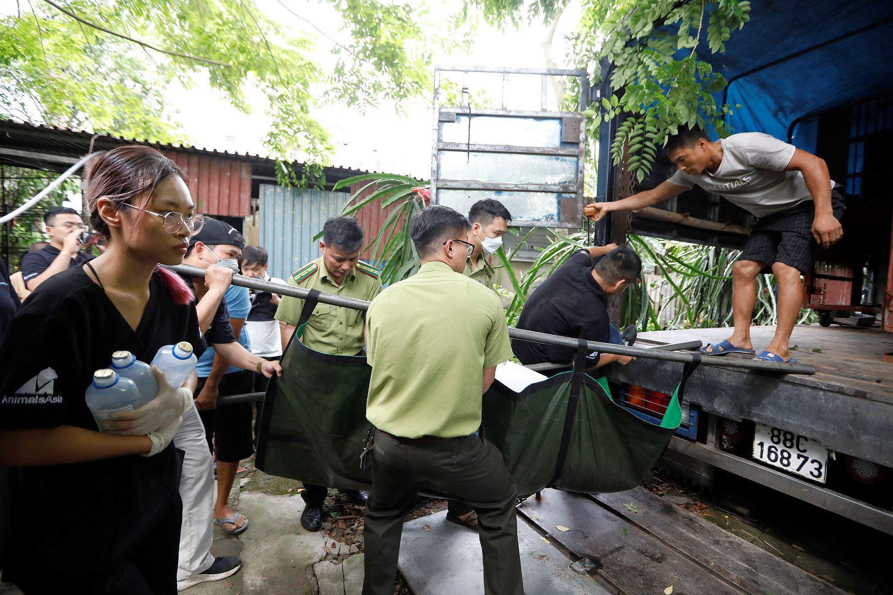 Cứu hộ toàn bộ 7 cá thể gấu ngựa tại Hà Nội