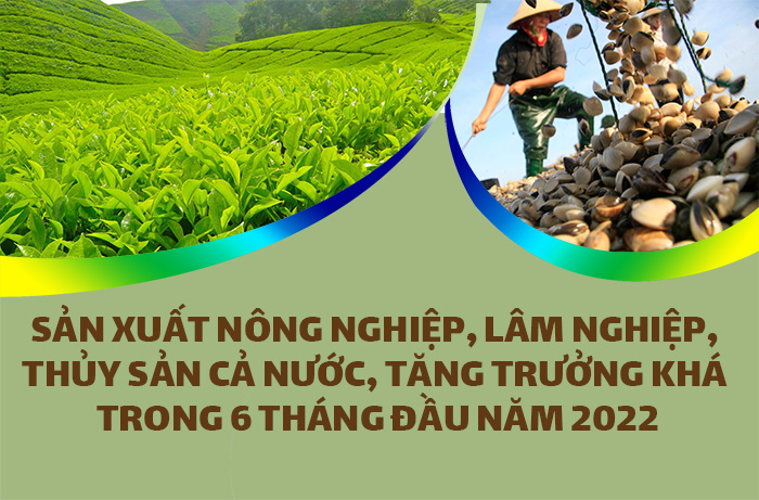 Infographic Sản xuất nông, lâm nghiệp, thủy sản cả nước tăng trưởng khá 6 tháng đầu năm
