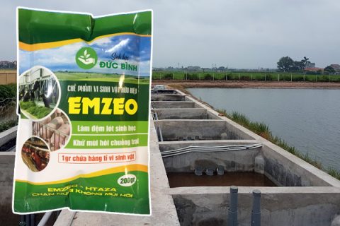 Điều kiện cơ sở mua bán, nhập khẩu sản phẩm xử lý chất thải chăn nuôi