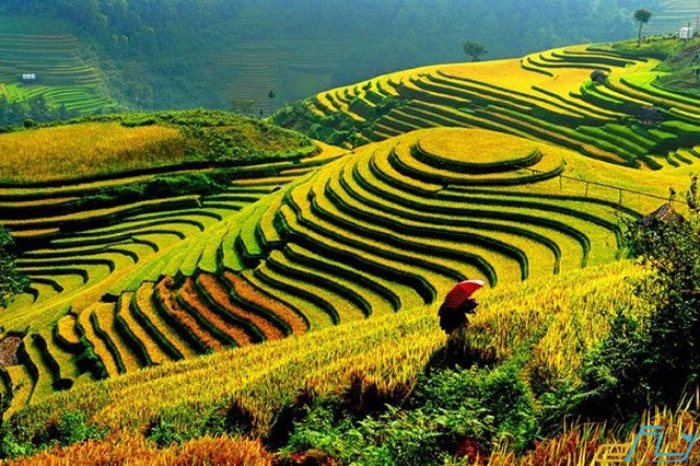 6 tháng, Điện Biên đón 331 000 lượt du khách