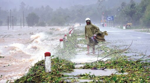 Tìm giải pháp ứng phó với thiên tai tại khu vực Nam Bộ