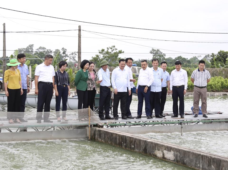 Khơi thông nguồn lực để Ứng Hòa phát triển nhanh, bền vững