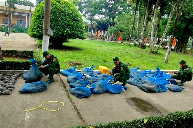 An Giang Bắt giữ vụ vận chuyển 94 cá thể trong Sách đỏ qua biên giới