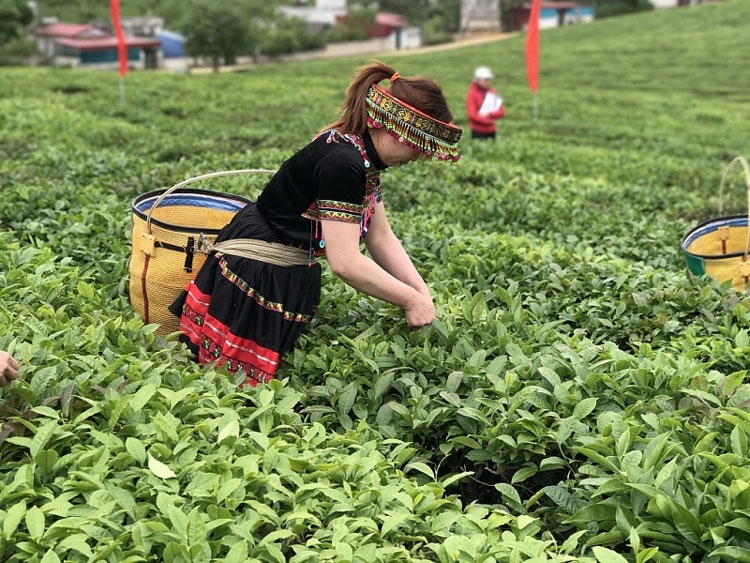 Đảm bảo tính bền vững của chính sách
