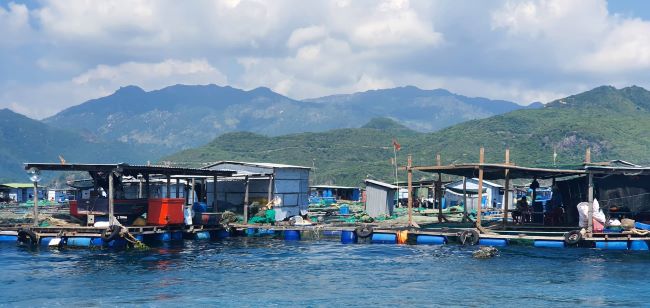 Tín hiệu tích cực phục hồi và phát triển ngành Du lịch