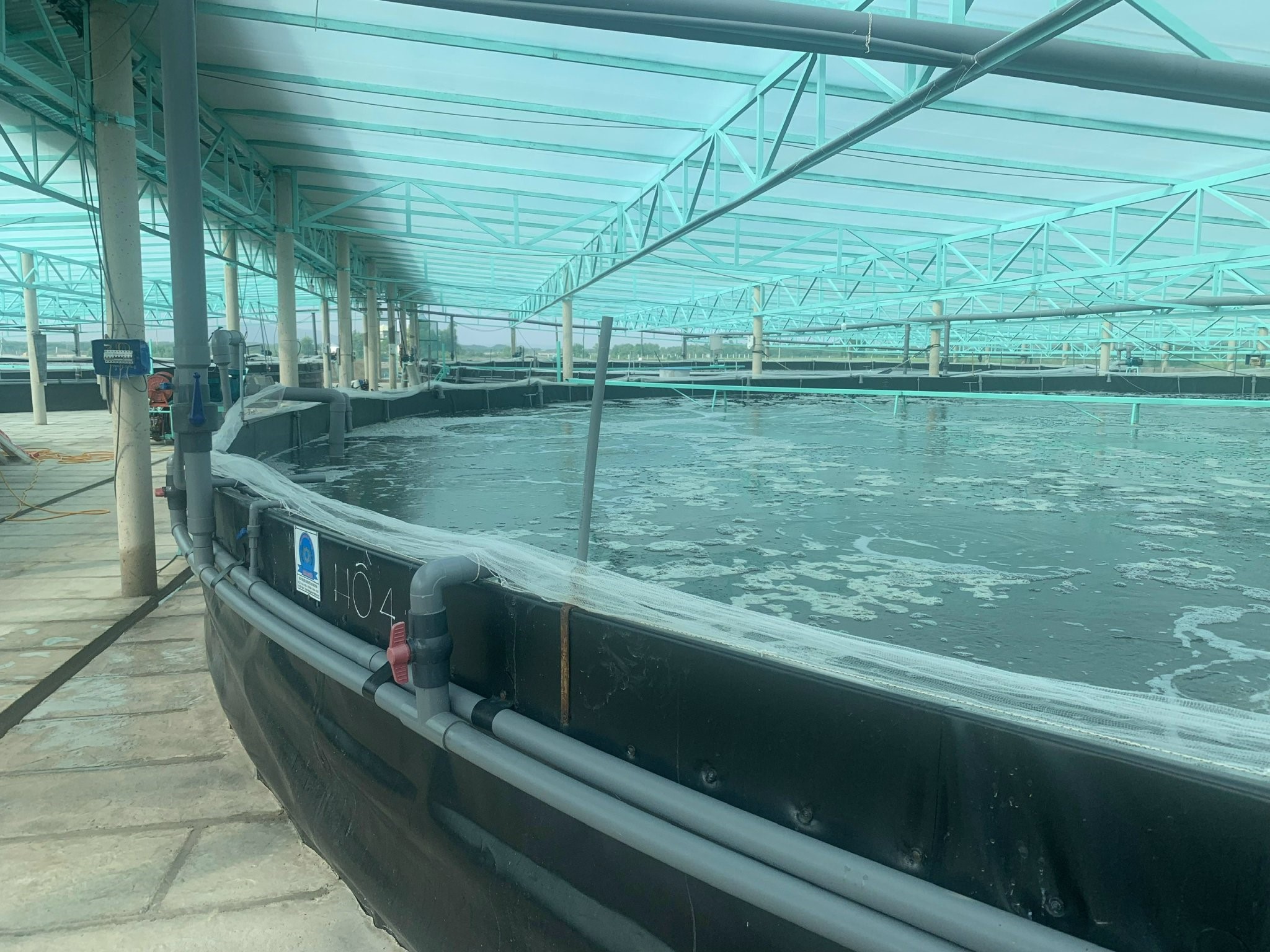 HTX Nông nghiệp Quyết Thắng Tiên phong ứng dụng công nghệ nuôi thủy sản bền vững