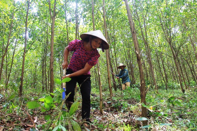 Hành trình 20 năm tín dụng chính sách đồng hành cùng hộ nghèo ở miền núi Đoan Hùng Phú Thọ