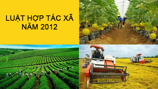 Đề xuất giữ nguyên tên gọi Luật Hợp tác xã