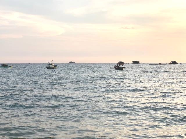 Chủ động ứng phó với gió mùa Tây Nam và vùng áp thấp có thể mạnh lên